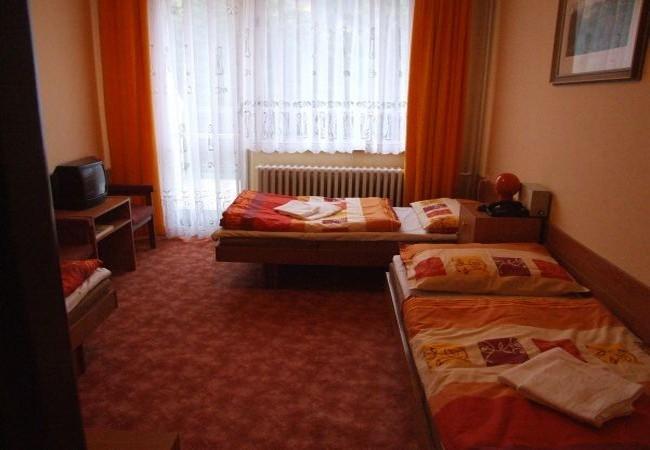 Hotel Petr Bezruc Frýdlant nad Ostravicí 객실 사진